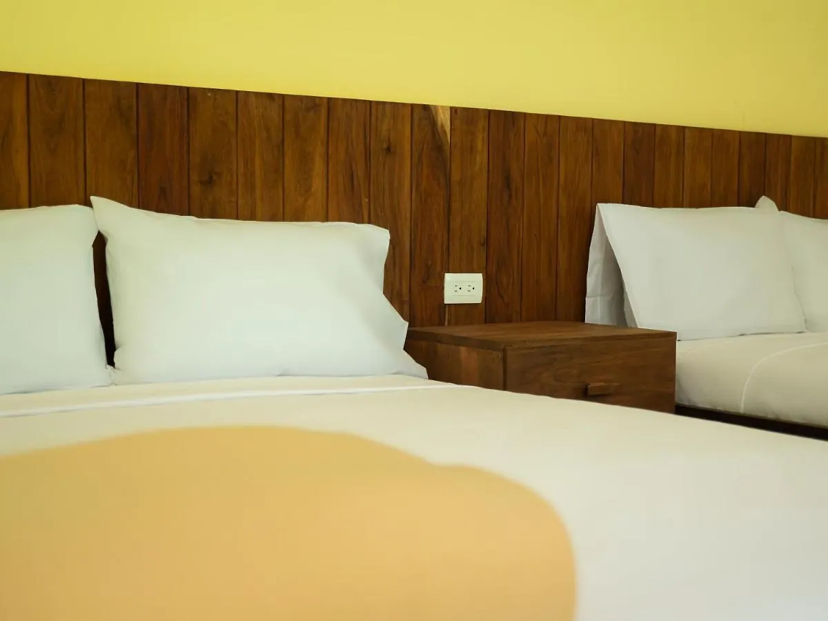 Hostel Colorbox Beds And Rooms Tulum